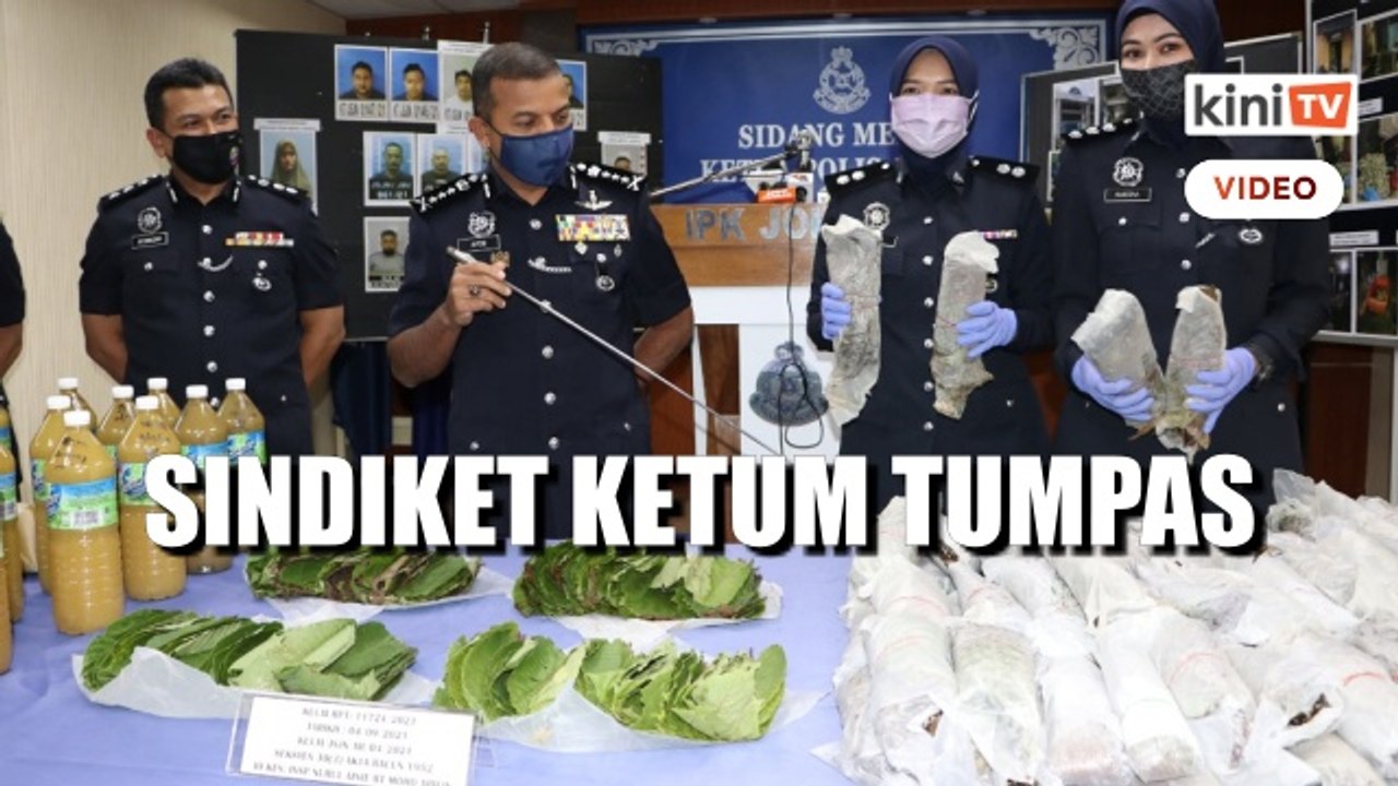Polis Johor tumpas sindiket ketum, 17 individu ditahan