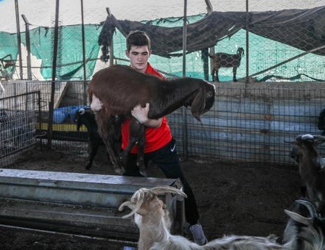 Çiftlik işlerini antrenmana çevirip, şampiyonaya hazırlanıyor
