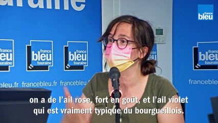 Circuits courts : Ail et Oignons en toute saison !