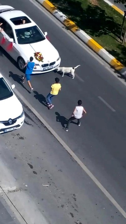 Çocukların tehlikeli bahşiş oyunu kamerada