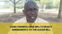 Cane farmers urge MPs to reject amendments to Sugar Bill