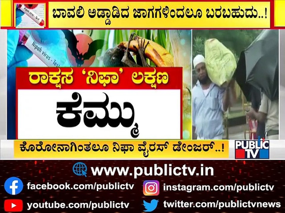 Nipah Virus Symptoms, Prevention, Everything You Need To Know