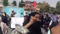 Taliban open fire on Afghans protesting against Pakistan