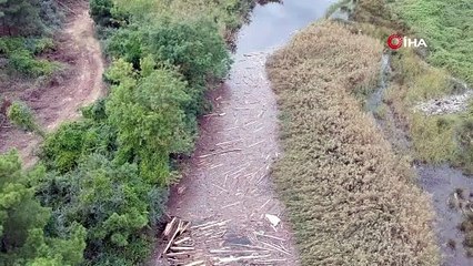 Sinop'ta korkutan görüntü: Sarıkum’da doğal hayat risk altında