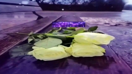 Radyo Dostbahçemiz Yayınımdan Bir Bölüm Hazırlayan Seslendiren Klip Aynur AVCI