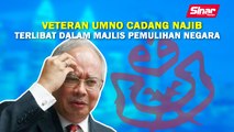 SINAR PM: Veteran UMNO cadang Najib terlibat dalam Majlis Pemulihan Negara