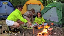 What is the Educational Significance of Attending Summer Camps