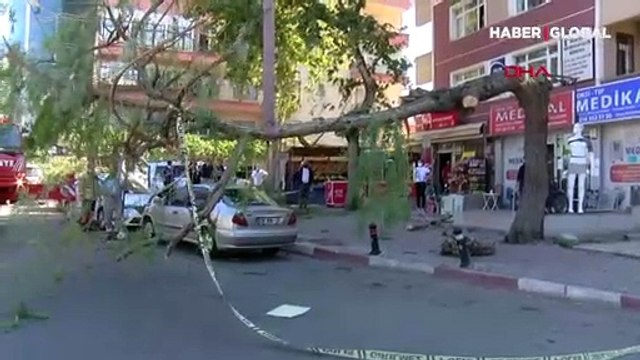 Kartal'da devrilen ağacın altında kalmaktan son anda kurtuldu