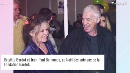 Mort de Jean-Paul Belmondo : "Il me manque et je n'ai plus envie d'en parler", Brigitte Bardot réagit