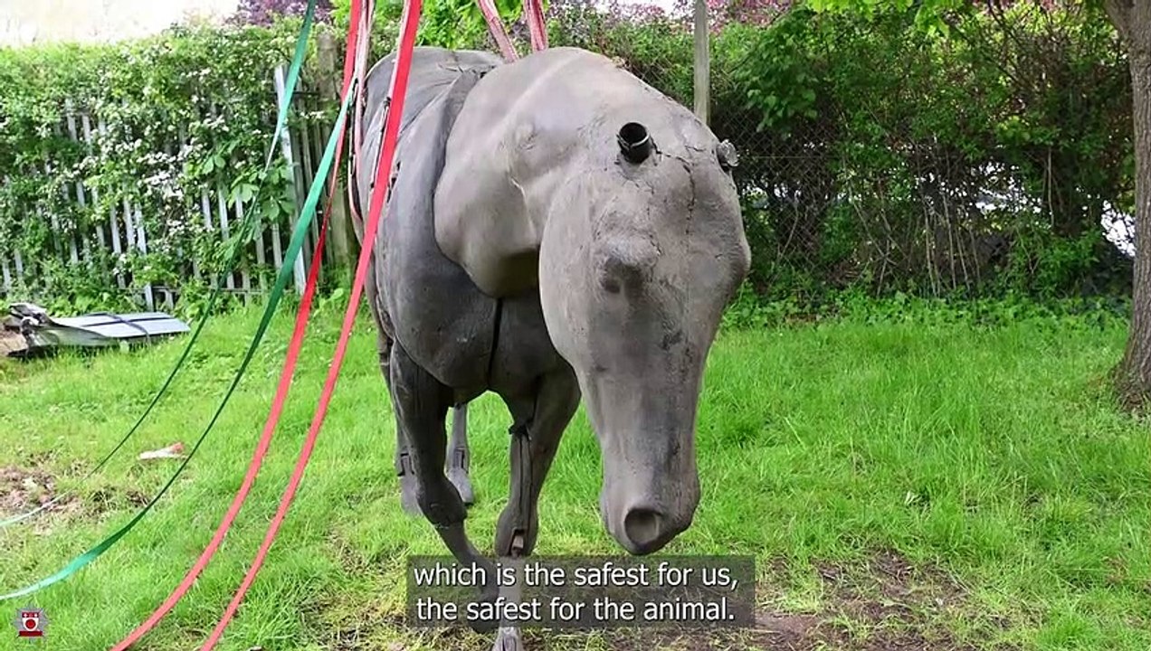 Meet Northamptonshire Fire & Rescue's animal rescue team