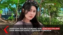 Polisi Tengah Kembangkan Hasil Analisa Labfor Terkait Pembunuhan Ibu-Anak Subang