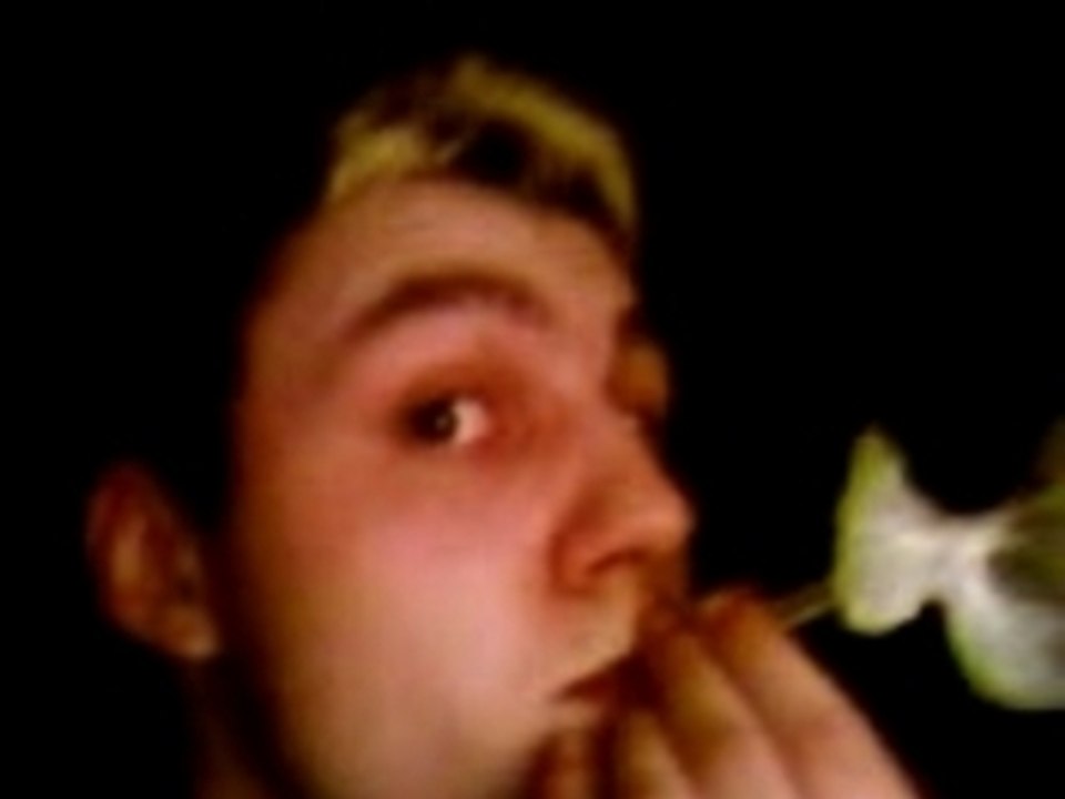 NoObY avec sa tulipe