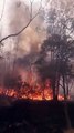 Incêndio no Parque Serra do Gandarela, em Rio Acima,  já dura cinco dias