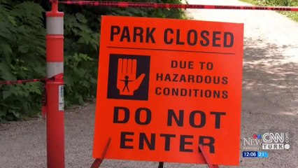 Kanada'da çakal alarmı!