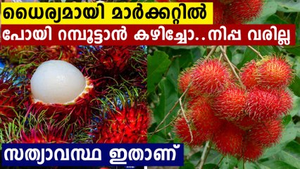 Dr. KP Aravindan's fb post about Nipah Virus | Oneindia Malayalan