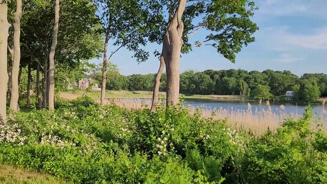 Pirate Collins in Warwick Rhode Island Part II