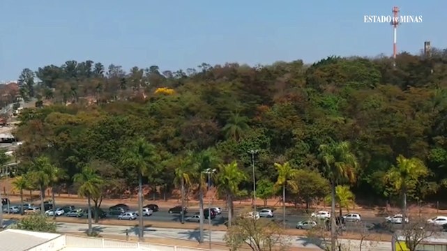 Muitos carros com bandeiras e faixas a favor do presidente seguem pela Antônio Carlos, rumo ao Centro