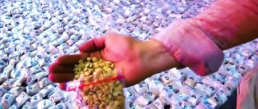 الداخلية تضرب أوكار الكيف.. ضبط شحنات مخدرات بقيمة 393 مليون جنيه.. فيديو