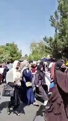 गृहमंत्री अनिल विज ने पाक की बमबारी की निंदा की