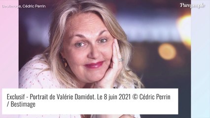 Mort de Jean-Paul Belmondo : "Il s'arrête, m'embrasse comme du bon pain...", cette animatrice se souvient