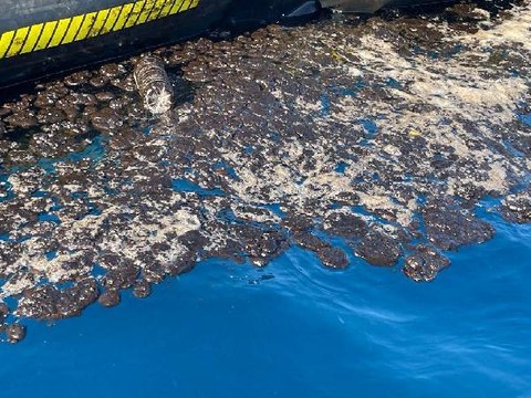 SAMANDAĞ SAHİLİNDEKİ PETROL ATIĞI TEMİZLİĞİNDE 5'İNCİ GÜN