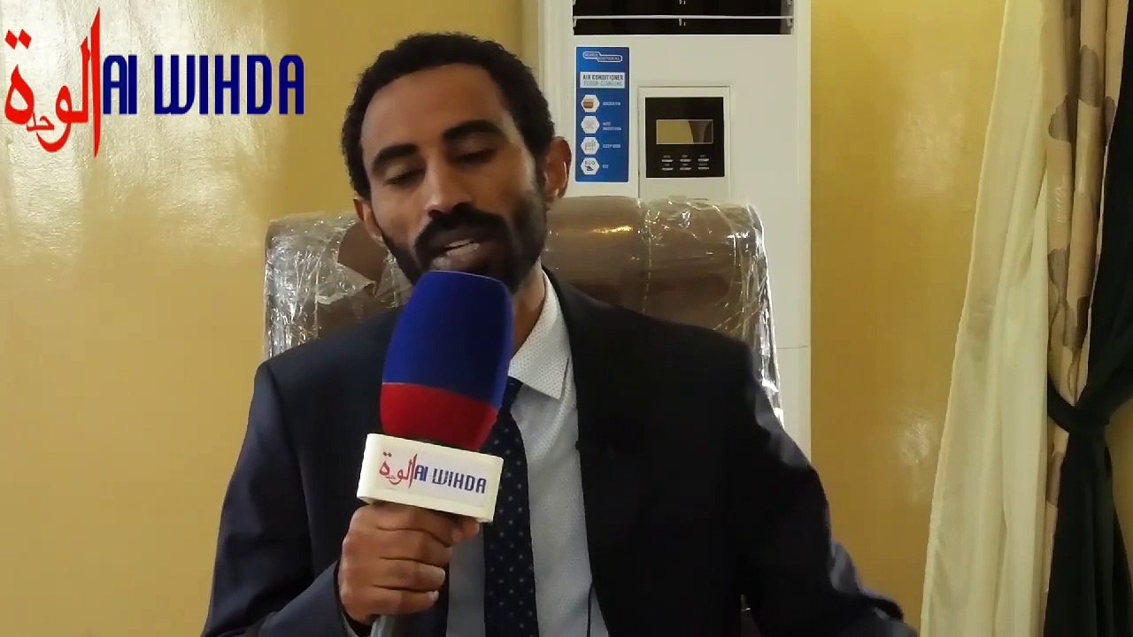 Tchad : « ils n’ont pour seul pouvoir que leur smartphone » (Mahmoud Ali Seïd)