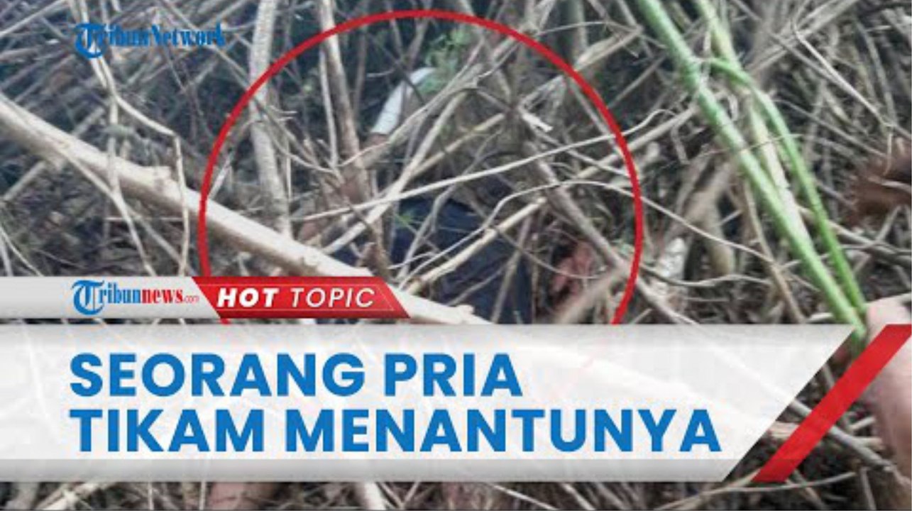 Istri Kedua Cekcok dengan Anak Perempuannya, Pria di Sumut Serang Menantu lalu Tikam Dada Sendiri