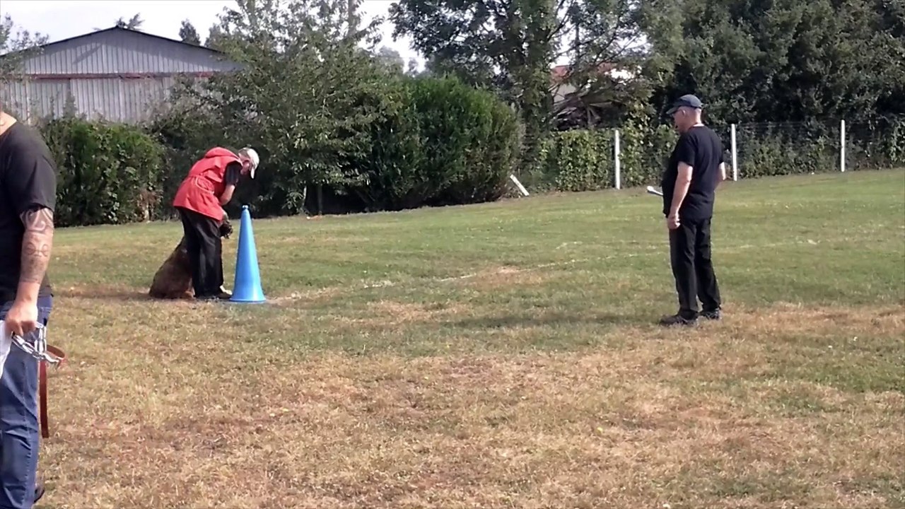 2021  Ring : NORWAY de l'Aubade aux Bergers en échelon 1 à Bucy-le-Long