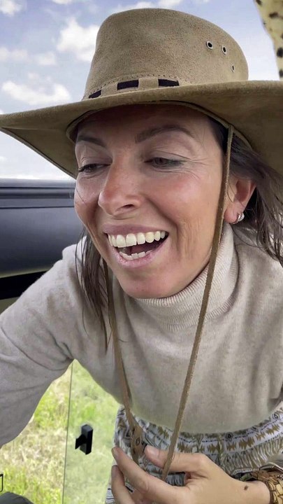 Curious Cheetah Climbs on Safari Car