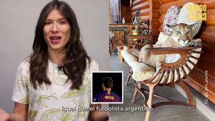 ¿Un puma como mascota? Pareja presume de su ‘salvaje amigo’ en redes sociales