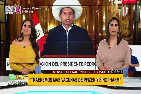 Pedro Castillo: Se ha coordinado con el gobierno ruso la instalación de una planta de Sputnik V en el país