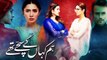 Hum Kahan Ke Sachay Thay | Episode 8 | Hum tv new pakistani drama 2021
