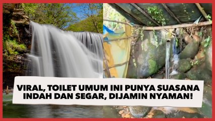 Viral, Toilet Umum Ini Punya Suasana Indah dan Segar, Dijamin Nyaman!