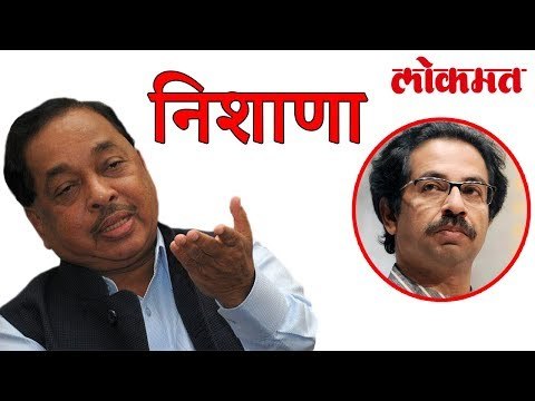 राणेंनी वाघावर साधला निशाणा पहा हा व्हिडीओ | Lokmat Marathi News