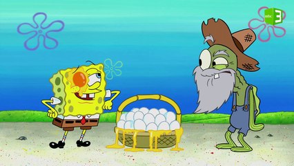 سبونج بوب يجمع بيض المحار اللؤلؤي