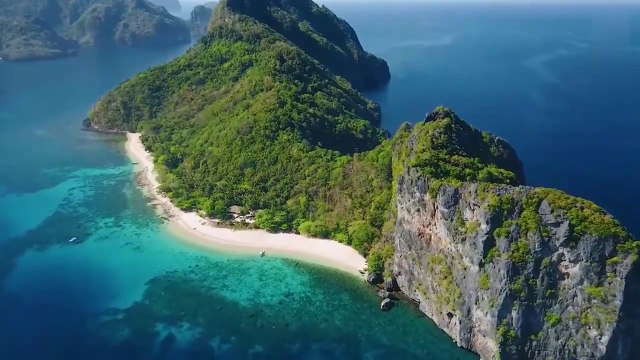 1 Hours of Amazing Nature music to improve concentration while studying with a beautiful selection of nature landscapes in the background. Relaxing Music | Beautiful Nature to Calm Your Mind and Relieve Stress and Anxiety |Serene Forest