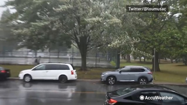 Wind and rain blow branches off trees in Quebec