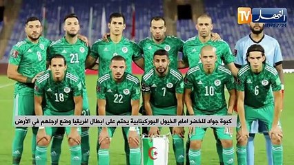 كبوة جواد للخضر أمام الخيول البوركينابية يحتم على أبطال إفريقيا وضع أرجلهم في الأرض