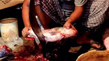 Amazing Katol Fish Cutting In Fish Market | Katol Fish Cutting Skills. Live Fish Market 2021.