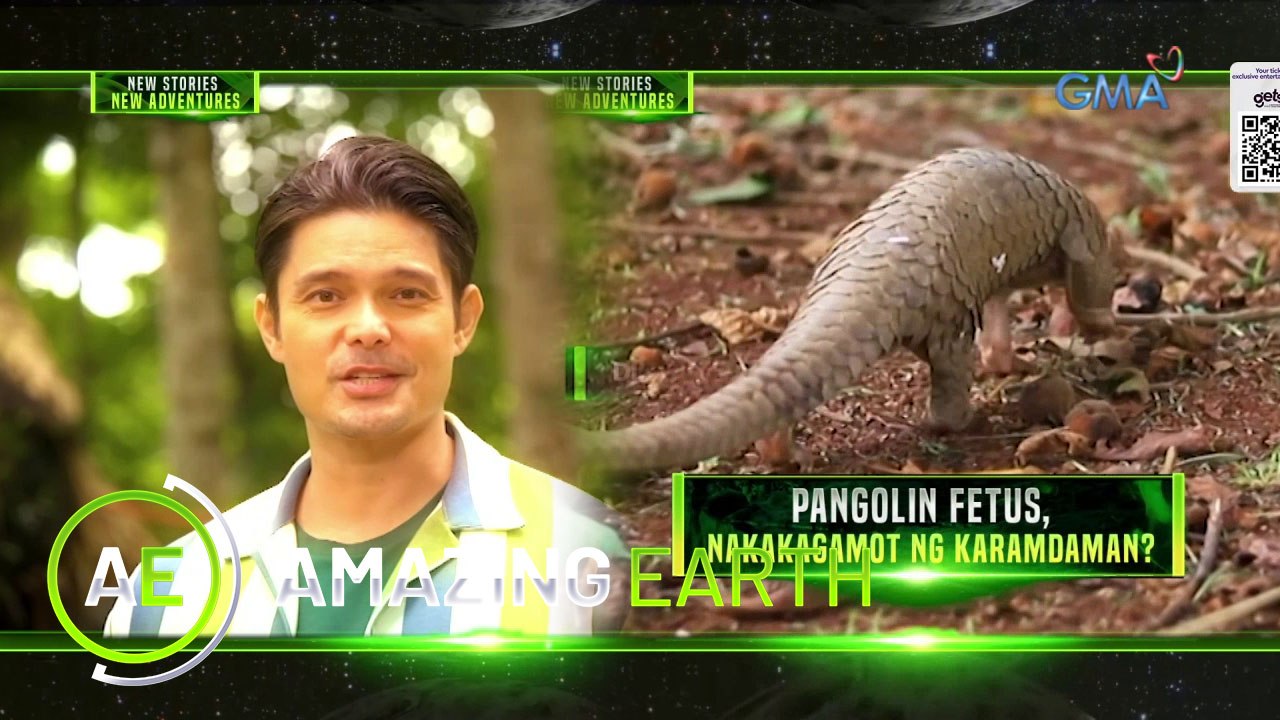 Amazing Earth: Thrilling adventure | Teaser Ep. 170