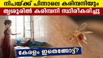 നിപക്ക് കേരളത്തിൽ കരിമ്പനിയും സ്ഥിരീകരിച്ചു | Oneindia Malayalam