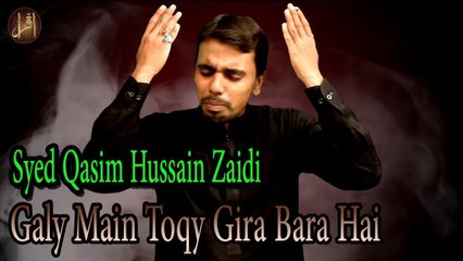 Galy Main Toqy Gira Bara Hai | Noha | Syed Qasim Hussain Zaidi | Full HD Video