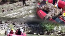 Zap Suyu'nda sürüklenen ayıyı rafting ekibi kurtardı