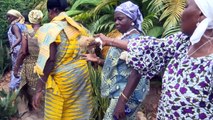 Abengourou : Les jeunes filles pubères célébrées au cours d'une cérémonie de purification