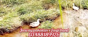 fauji band 03488189926  jeeway pakistan in chakar azad kashmir