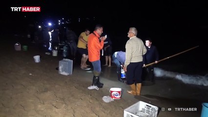 Kıyıya vuran balıkları toplamak için sahile akın ettiler