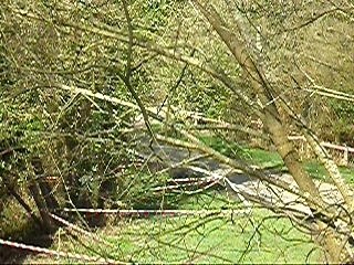 Bocquet rallye de la cote fleurie 2008