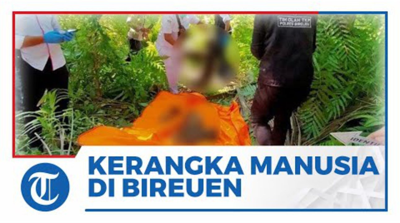 Tulang Kerangka Manusia Ditemukan di Bireuen Aceh, Pihak Kepolisian Ambil Sampel DNA dan Rambut