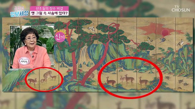 ʚ신의 뿔ɞ이라 불리는 ❛녹용❜ 기력 보충에 최고 TV CHOSUN 210908 방송