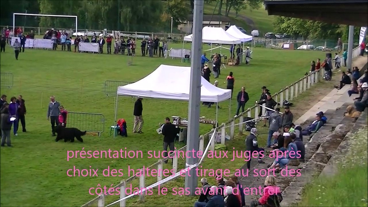 OBÉISSANCE : 2021 GLAZDU Ar Glaskerien Roudou à la coupe et au championnat de France